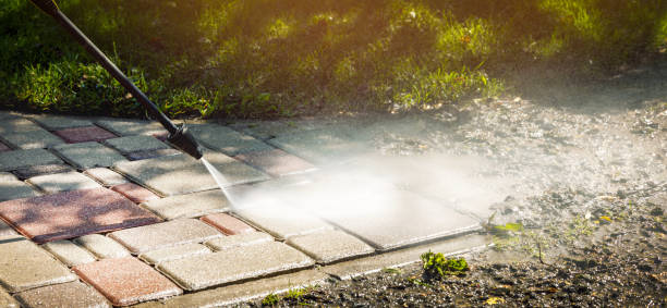 Best Driveway Pressure Washing  in Des Peres, MO